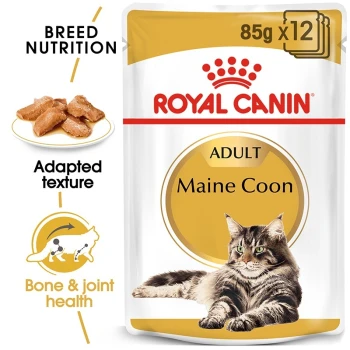 Royal Canin Adult Maine Coon cat food packaging shows a Maine Coon cat and highlights nutrition, texture, and joint health.