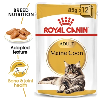 Royal Canin Adult Maine Coon cat food packaging shows a Maine Coon cat and highlights nutrition, texture, and joint health.