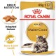 Royal Canin Adult Maine Coon cat food packaging shows a Maine Coon cat and highlights nutrition, texture, and joint health.