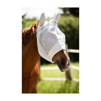 Ein braunes Pferd, das eine weiße Fliegenmaske trägt, steht auf einer sonnigen grünen Wiese, mit einem Holzzaun im Hintergrund.