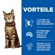 Un chat Bengal avec des yeux verts et un collier rouge est assis à côté d'un panneau bleu énumérant les avantages pour le poids, les protéines et la santé de la peau.