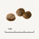 Drei runde, dunkelbraune Tierfutterpellets auf einem hellen Hintergrund, mit einem Lineal, das eine Größe von 1 cm angibt.