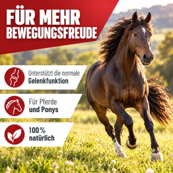 Ein kleiner Hügel aus hellbraunem Pulver auf einem weißen Hintergrund, wahrscheinlich ein Haustier-Nahrungsergänzungsmittel oder Lebensmittelzutat.