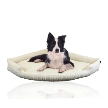 Ein schwarz-weißer Border Collie liegt bequem auf einem weichen, hellgrünen Hundebett mit gestreiftem Design.
