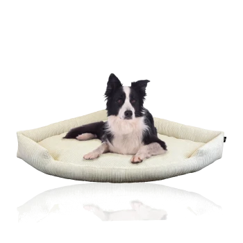 Ein schwarz-weißer Border Collie liegt bequem auf einem weichen, hellgrünen Hundebett mit gestreiftem Design.