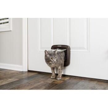 Un chat gris émerge d'une porte pour chat PetSafe installée dans une porte blanche, avec un sol en bois visible en arrière-plan.
