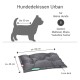 Hundebett "Urban" für kleine Hunde, Maße 50 cm x 40 cm, 6 cm dick, geeignet für Rassen wie Dackel und Yorkshire Terrier.