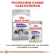 Paquets de nourriture pour chiens Royal Canin étiquetés "Stérilisé" pour X-Small et toutes tailles, promouvant le maintien du poids avec -11% de calories.