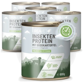 Dosen Tierfutter mit der Aufschrift 'Insekten Protein mit Süßkartoffel', 'Vollwertige Fütterung', 800 g, Hundesilhouette.
