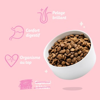 Bol de croquettes sur fond rose ; texte français : Pelage brillant, Confort digestif, Organisme au top ; gribouillage barré.