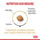 Croquettes pour chien avec des étiquettes pour EPA/DHA, protéines digestibles et psyllium, présentant un texte sur un design exclusif pour les petites mâchoires.