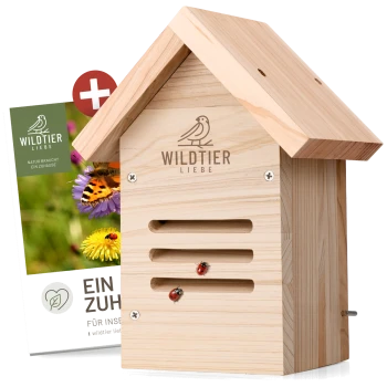 Holzinsektenhaus mit einem geneigten Dach, mit dem Logo 'WILDTIER LIEBE' und Marienkäfern am Eingang, neben einer Produktkarte.