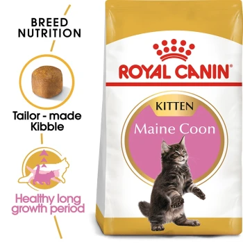Royal Canin Maine Coon kitten food bag with a playful kitten and text on "Breed Nutrition" and "Healthy growth."