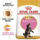 Royal Canin Maine Coon kitten food bag with a playful kitten and text on "Breed Nutrition" and "Healthy growth."