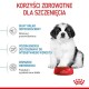 Uroczy szczeniak siedzi obok czerwonej miski z karmą Royal Canin, prezentując korzyści dla odporności, energii i wsparcia mikrobiomu.