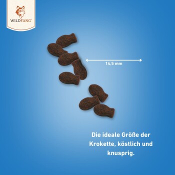 Braune, fischförmige Haustierfutter-Kibble auf einem blauen Hintergrund angeordnet, mit dem Text 'Die ideale Größe der Krokette, köstlich und knusprig.'