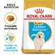 Sac de nourriture pour chien Royal Canin Puppy Golden Retriever, mettant en avant la nutrition de la race, des croquettes personnalisées et des icônes de soutien au système immunitaire.