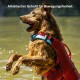 Ein Golden Retriever in einer roten Schwimmweste springt fröhlich ins Wasser und spritzt. Text: "Athletischer Schnitt für Bewegungsfreiheit."