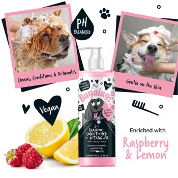 Bugalugs 3-in-1 Haustiershampoo, Conditioner und Entwirrungsmittel mit Himbeere und Zitrone. Sanft, pH-ausgeglichen und vegan. Hunde werden gebadet.