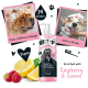 Bugalugs 3-in-1 Haustiershampoo, Conditioner und Entwirrungsmittel mit Himbeere und Zitrone. Sanft, pH-ausgeglichen und vegan. Hunde werden gebadet.