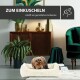Ein kleiner Hund, der in einem gemütlichen cremefarbenen Hundebett ruht, umgeben von stilvoller Wohnkultur, mit dem Text "ZUM EINKUSCHELN" darüber.