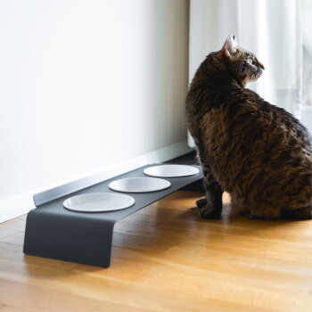 Getigerte Katze neben einem modernen schwarzen erhöhten Futterständer mit drei weißen Schalen auf Parkettboden am Fenster.