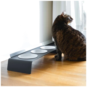 Getigerte Katze neben einem modernen schwarzen erhöhten Futterständer mit drei weißen Schalen auf Parkettboden am Fenster.