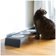 Getigerte Katze neben einem modernen schwarzen erhöhten Futterständer mit drei weißen Schalen auf Parkettboden am Fenster.