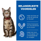 Een tabby kat met groene ogen en een rode halsband zit tegen een blauwe achtergrond met tekst over gezondheidsvoordelen voor de urinegezondheid.