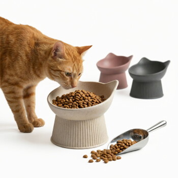 Orange getigerte Katze schnuppert an einer erhöhten Keramikschüssel mit Trockenfutter; Metallschaufel mit verschüttetem Futter und zwei erhöhte Schüsseln im Hintergrund.