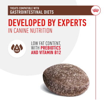 Dog treat designed for gastrointestinal diets, featuring low fat, prebiotics, and vitamin B12, with text highlighting expert development.