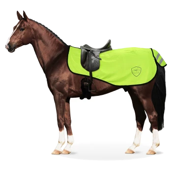 Ein braunes Pferd mit einem leuchtend grünen Sattelpad mit reflektierenden Streifen und einem schwarzen Sattel, vor einem weißen Hintergrund stehend.