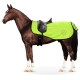 Ein braunes Pferd mit einem leuchtend grünen Sattelpad mit reflektierenden Streifen und einem schwarzen Sattel, vor einem weißen Hintergrund stehend.
