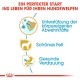 Ein perfekter Start ins Leben für Ihren Hundewelpen: Unterstützung der körperlichen Abwehrkräfte, schönes Fell, gesunde Verdauung.