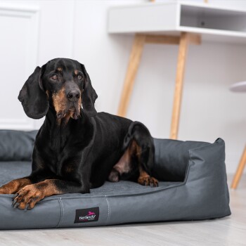 Ein grauer Weimaraner-Hund ruht auf einem braunen Haustierbett in einem modernen Wohnzimmer mit einem braunen Sofa und einem Couchtisch im Hintergrund.