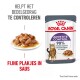 Royal Canin Appetite Control kattenvoer zakje met een bord natvoer, met tekst over het beheersen van bedelgedrag en fijne stukjes in saus.