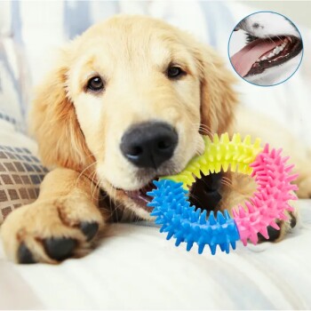 Ein verspielter Welpe ruht auf einer gemütlichen Oberfläche neben einem bunten, stacheligen Kauspielzeug in Blau, Pink und Gelb.