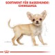 Illustration eines Chihuahua-Hundes mit auffälligen Ohren und einem hellbraunen Fell, beschriftet mit "SORTIMENT FÜR RASSEHUNDE: CHIHUAHUA."