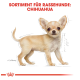 Illustration eines Chihuahua-Hundes mit auffälligen Ohren und einem hellbraunen Fell, beschriftet mit "SORTIMENT FÜR RASSEHUNDE: CHIHUAHUA."