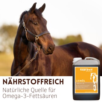 Braunes Pferd neben einem Kanister Supravit Leinöl; Text 'NÄHRSTOFFREICH' und 'Natürliche Quelle für Omega-3-Fettsäuren'