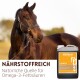 Braunes Pferd neben einem Kanister Supravit Leinöl; Text 'NÄHRSTOFFREICH' und 'Natürliche Quelle für Omega-3-Fettsäuren'
