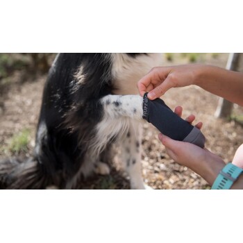 Eine Person zieht einem Hund im Freien eine schwarze und graue Schutzmanschette über die Pfote, mit einem verschwommenen Hintergrund aus Grün.
