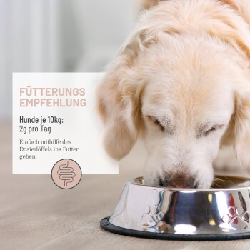Ein Golden Retriever frisst aus einer Metallschüssel mit dem Text: "Hunde je 10kg: 2g pro Tag" und "Einfach mithilfe des Dosierlöffels ins Futter geben."