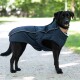 Ein schwarzer Hund, der einen marineblauen Hundemantel trägt, steht auf einem Kiesweg, umgeben von Grün.