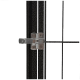 Nahaufnahme eines schwarzen Metallhaustierschlosses mit einem silbernen Riegel, das den Verriegelungsmechanismus und das Gittermuster der Stäbe zeigt.