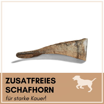 Natürlicher Schafhorn für starke Kauer!