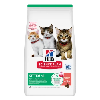 Hill's Science Plan kitten food bag with three kittens; visible text: "SCIENCE PLAN", "KITTEN <1", "with SALMON".