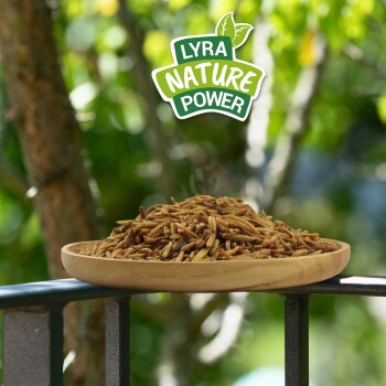 Teller mit getrockneten Mehlwürmern auf Geländer mit "Lyra Nature Power" Logo und unscharfem grünem Laub-Hintergrund.