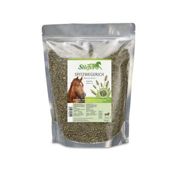 Getrocknete Ribwortblätter in einer klaren Plastiktüte, gekennzeichnet "Stiefel SPITZWEGERICH," mit einem Pferdebild und Text über die Verdauungsvorteile.