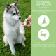 Ein flauschiger grau-weißer Hund sitzt auf Gras und beobachtet eine Hand mit einer Flasche für Haustierergänzungen. Grüner Text zeigt Dosierungsanweisungen auf Deutsch.